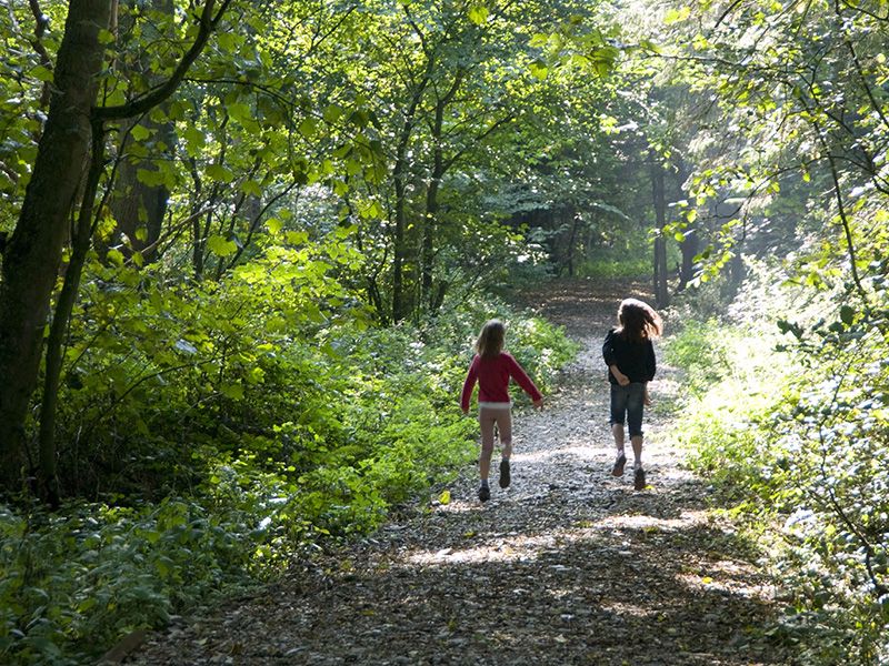 Run or ramble the self-guided nature walks, coastal and other routes including a path from Brighouse to the nearby village of Borgue.